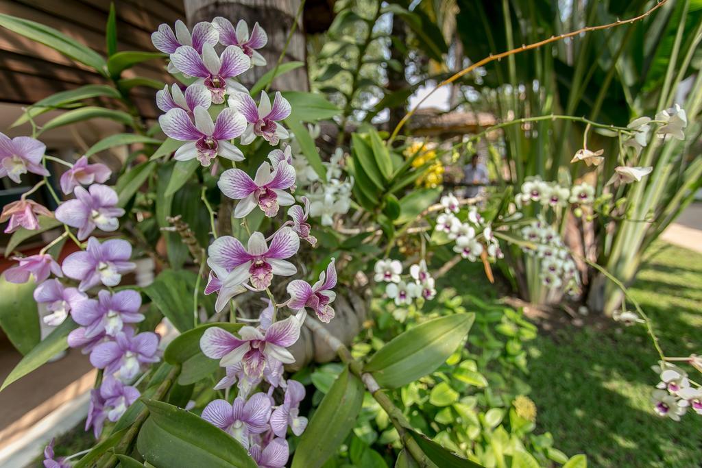 Apsara Suorkear Villa Siem Reap Exteriér fotografie