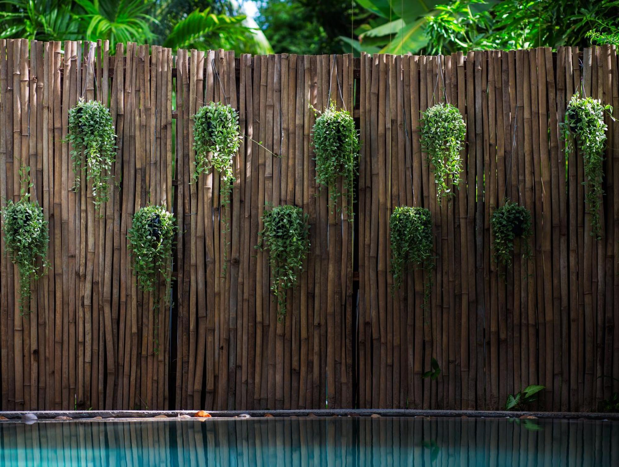 Apsara Suorkear Villa Siem Reap Exteriér fotografie